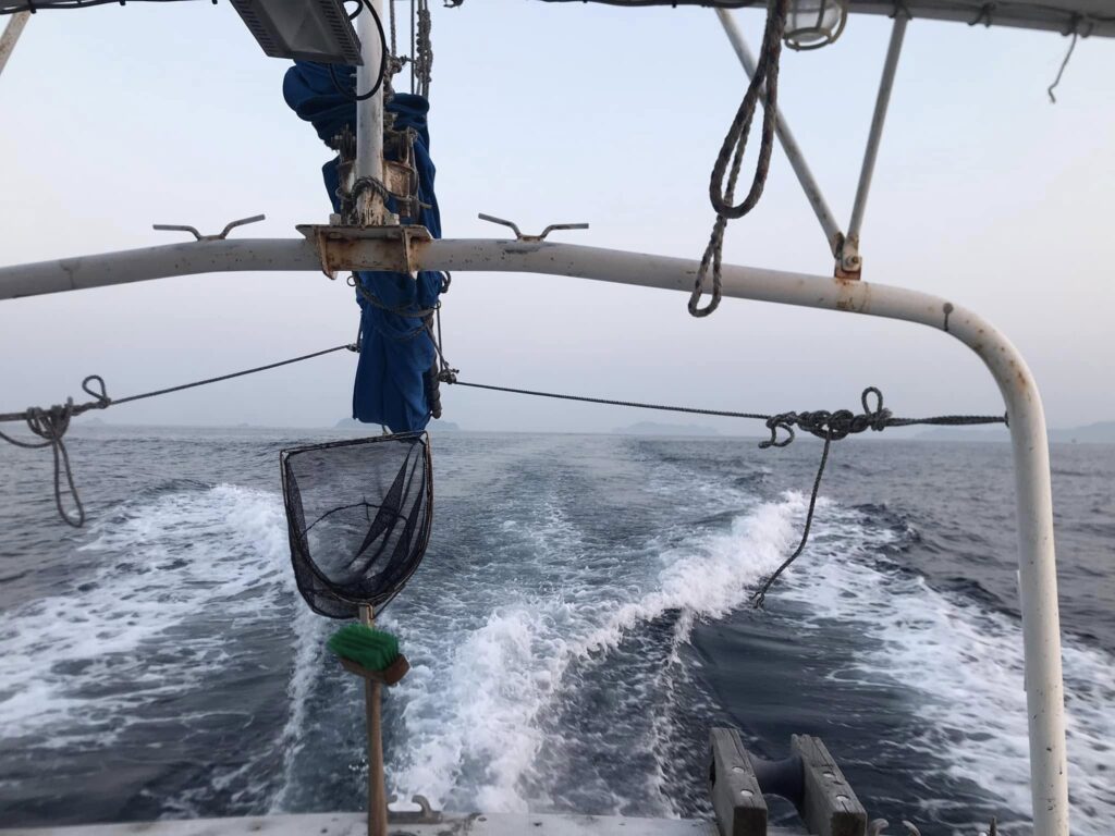 alt="牛深沖を進む釣り船が残した白い航跡"