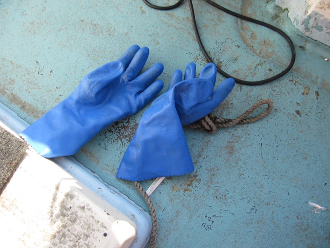 alt="釣り中に使用していたゴム手袋"