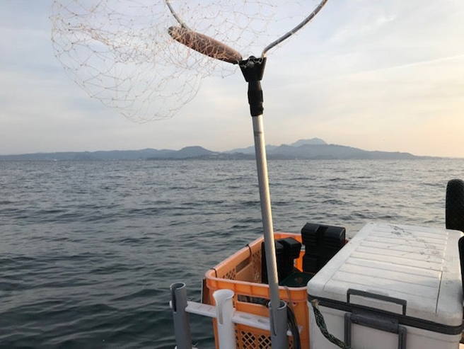 alt="船から見た早崎海峡の景色"