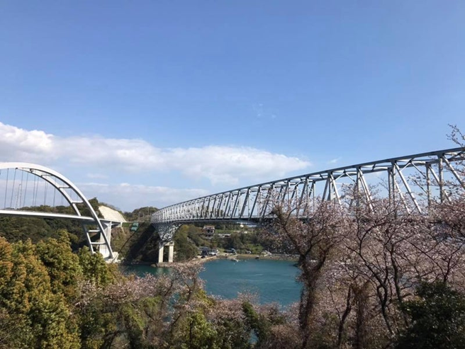 alt="満開の桜の写真"