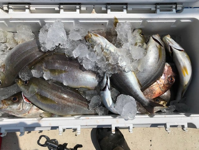 alt="魚がぎっしり詰まったクーラーボックス2"