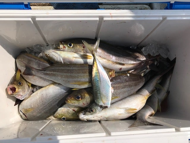 alt="満杯状態のクーラーボックス3"