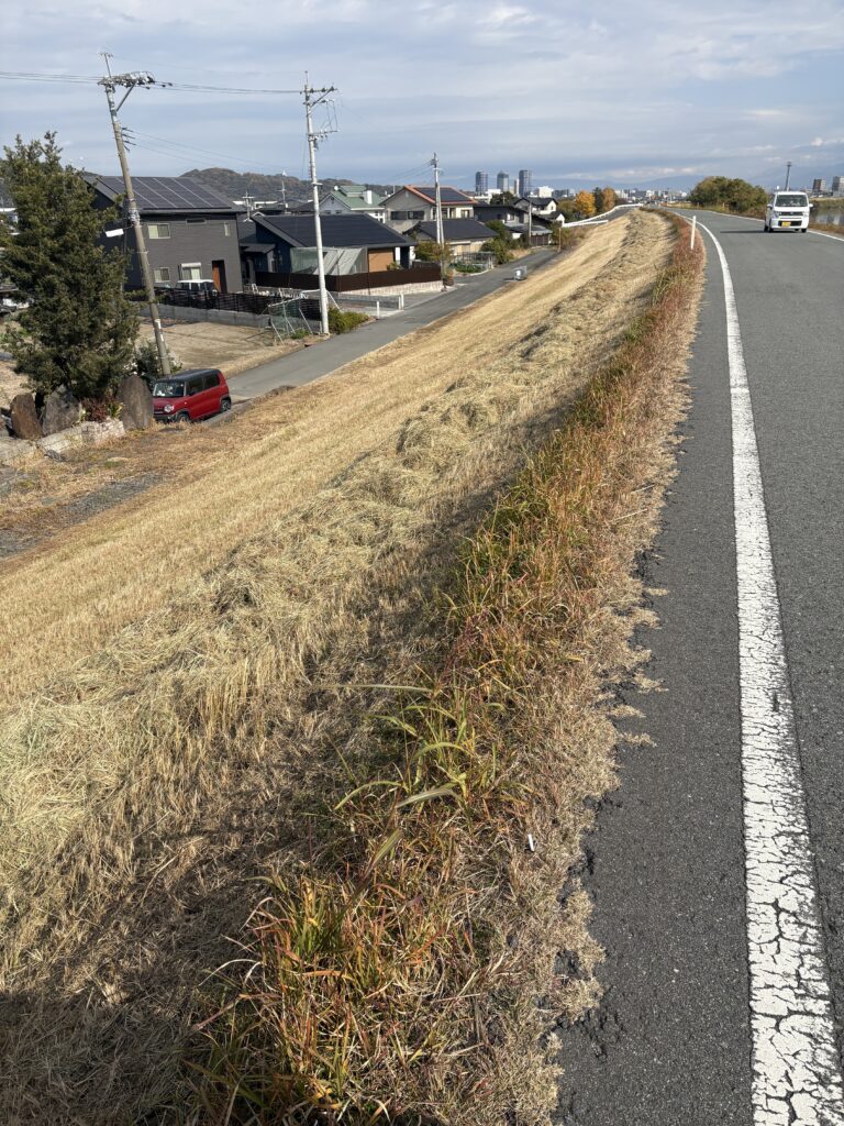 草が一部残してある写真